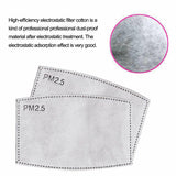 PM 2.5 Filter Mouth Paper Face